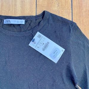 Zara NWT mesh long sleeve